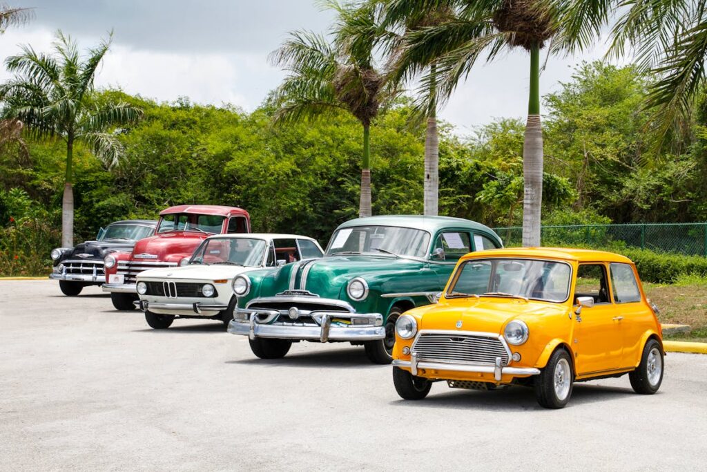 A line of classic cars under a row of palm trees